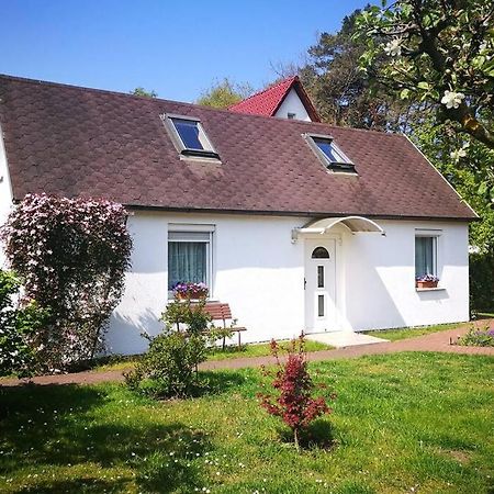 Ferienhaus Im Igelbau Baabe Exteriér fotografie