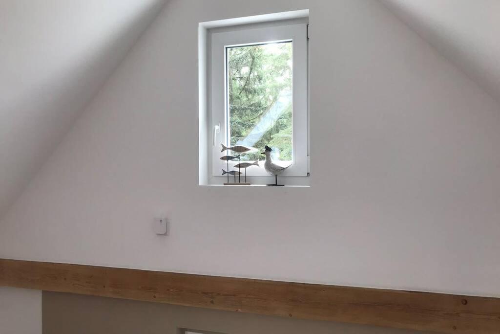Ferienhaus Im Igelbau Baabe Exteriér fotografie