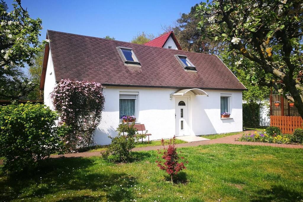 Ferienhaus Im Igelbau Baabe Exteriér fotografie